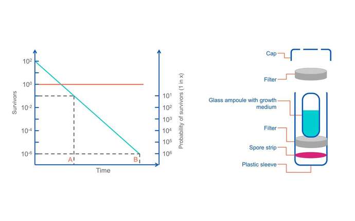 Diagramm showing the probability of surviving CFUs