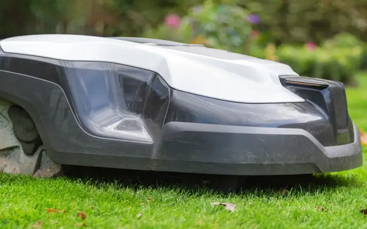 Robot lawn mower cutting grass