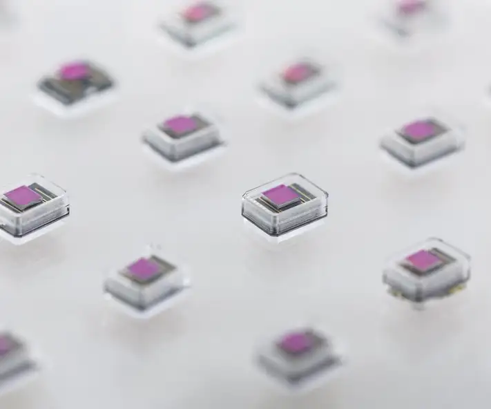 	 An array of tiny chip-based devices enclosed in all-glass packaging.