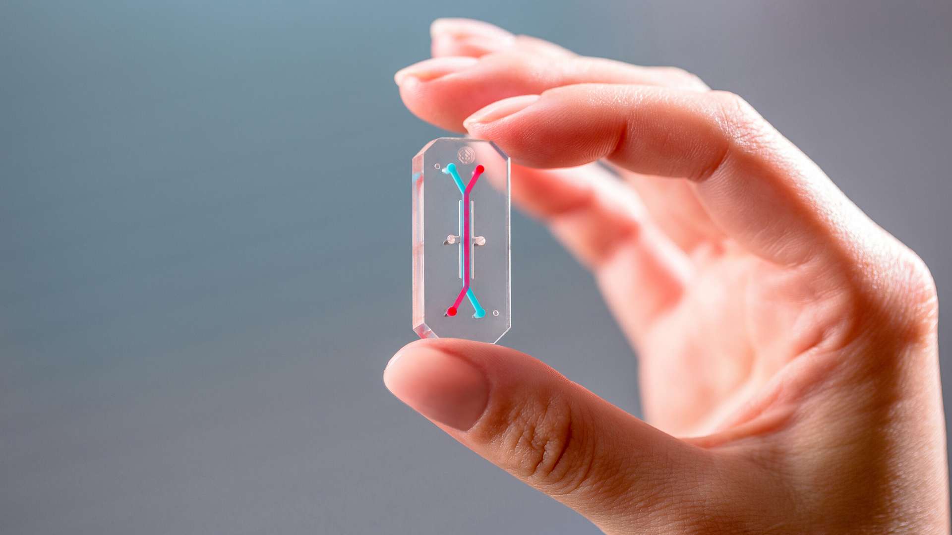 MINIFAB Emulate_Organ-Chip_3000x2000px-6-scaled