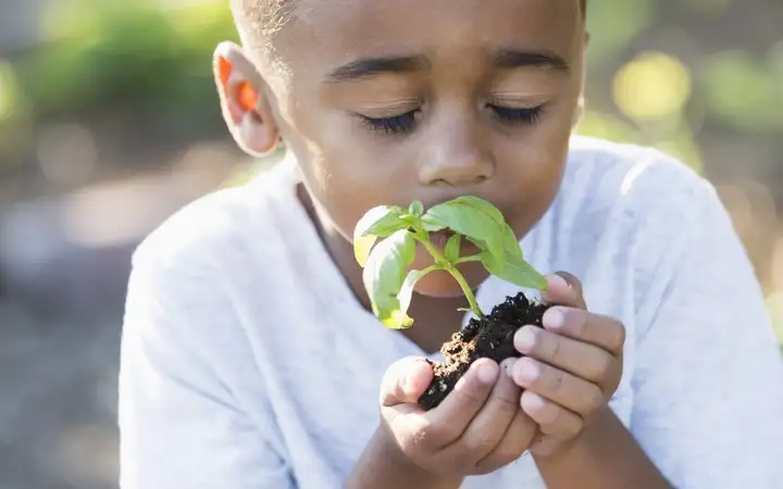 Little Kid with plant