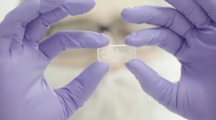 Chip-S1® Stretchable Chip