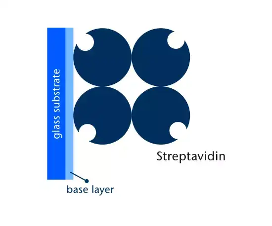 Streptavidin coating (HS)