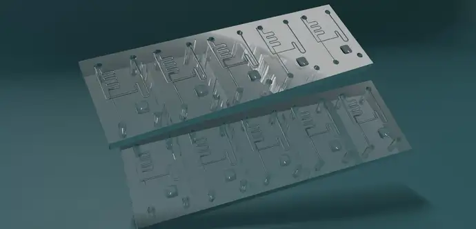 Two microfluidic chips