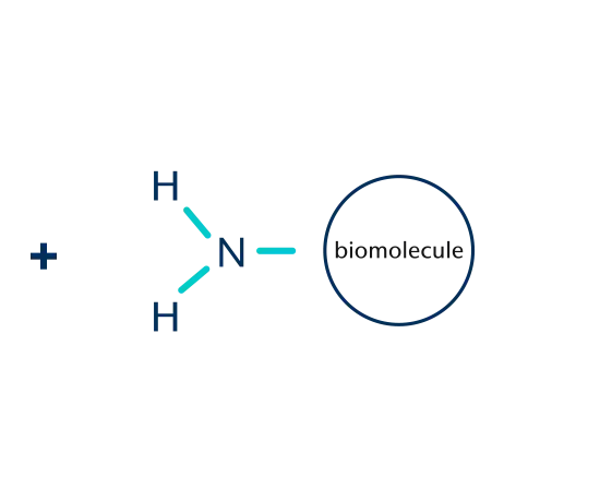 Epoxysilane coating (E)