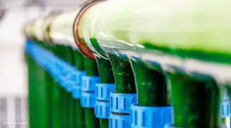 Top of an industrial photobioreactor with glass tubes and blue couplings