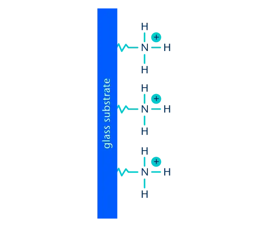 Aminosilane coating (A+)