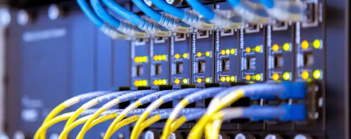 Series of blue and yellow wires going into a network device