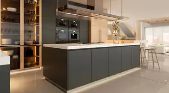 Modern kitchen interior black colors