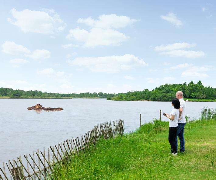 Jocelyn Jiang and Dr. Folker Steden stand on the shore of a lake and look at the hippos in water