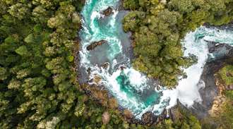 A river flows through a forest