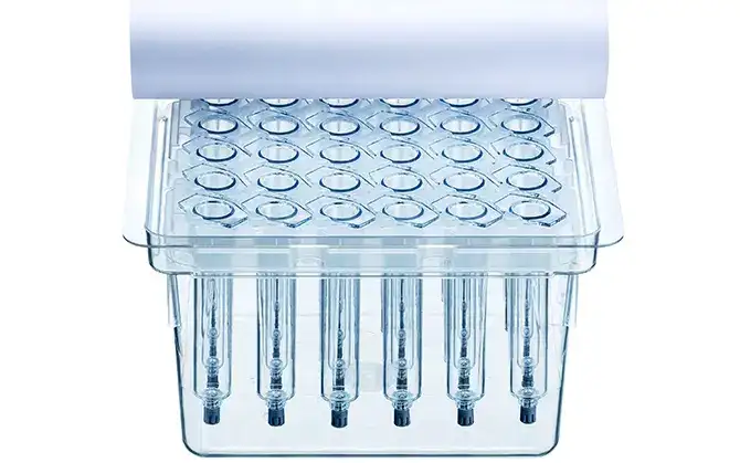 Seringas SCHOTT TOPPAC® esterilizadas prontas para uso em embalagens de berços e containers