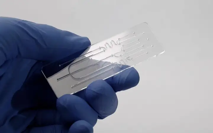 Hand holding a microfluidic device