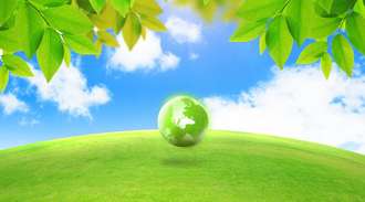 Green Earth underneath a tree