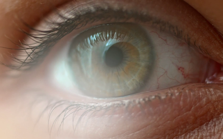 Close-up of a female eye