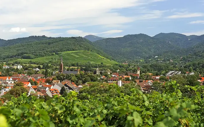 독일 뮐하임의 완만한 언덕과 포도밭	