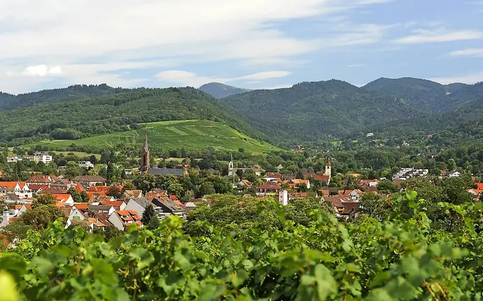 Hügellandschaft und Weinberge in Müllheim 