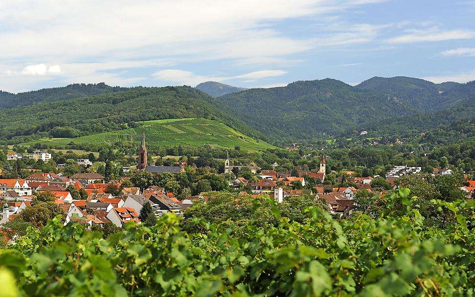 Rolling hills and vineyards in Müllheim, Germany	