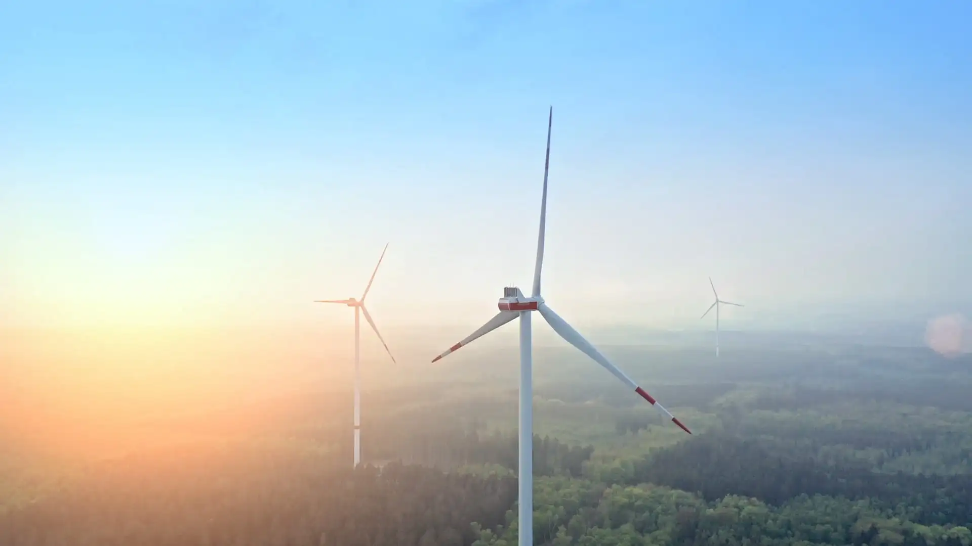 Three windmills peeking out of the forest