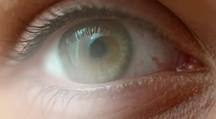 Close-up of a female eye