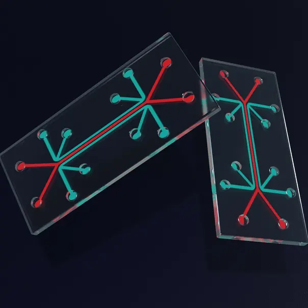 Close-up image of a microfluidic chip, and the micro-channels etched or molded into the glass material 