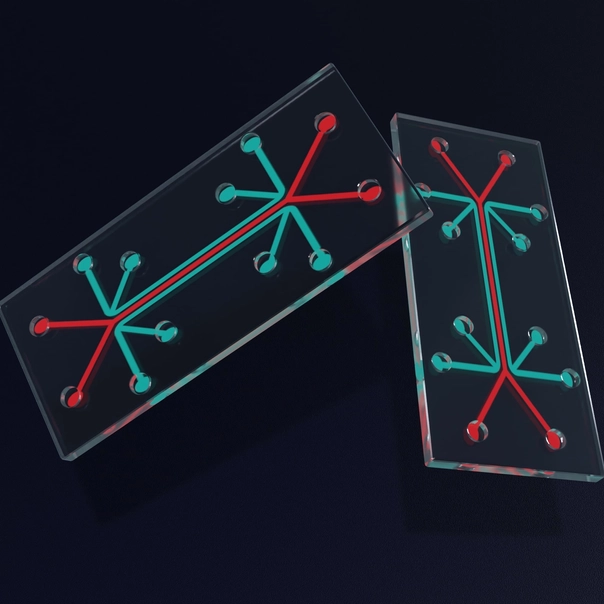 Close-up image of a microfluidic chip, and the micro-channels etched or molded into the glass material 