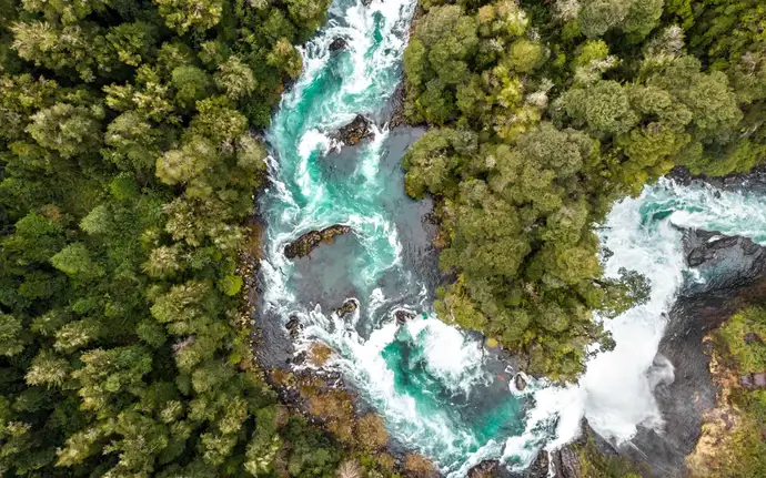 Vista aérea de um rio com corredeiras passando por uma floresta.