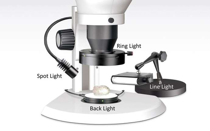 Illustration of a stereo microscope with ring light, spot light, back light, and line light