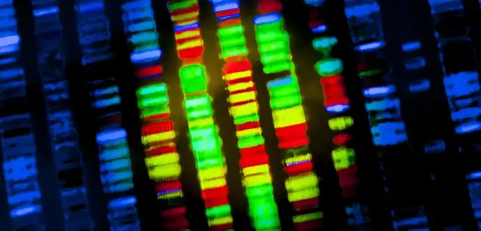 Gene expression analysis