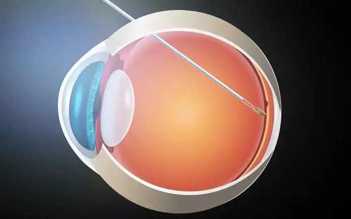 Querschnittsdiagramm des menschlichen Auges