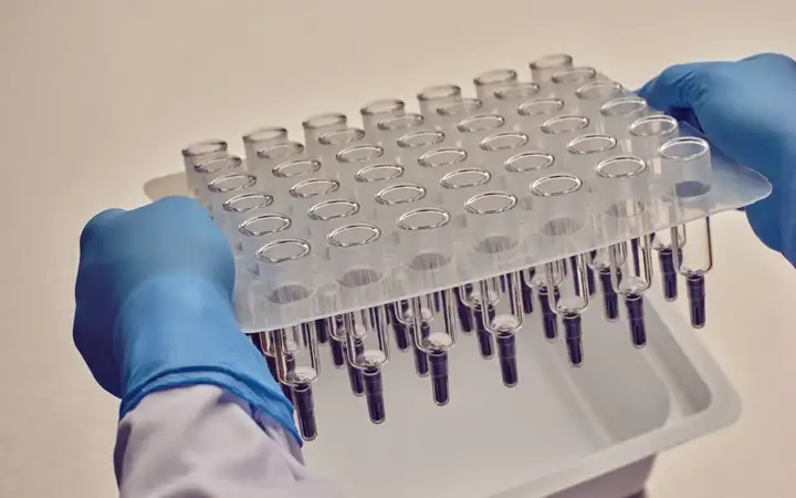 Gloved hands lifting a tray of syringes from sterile packaging in a laboratory setting