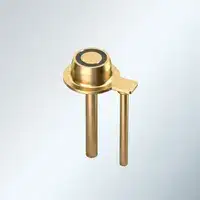 Gold-colored metal button with connectors for smartwatch
