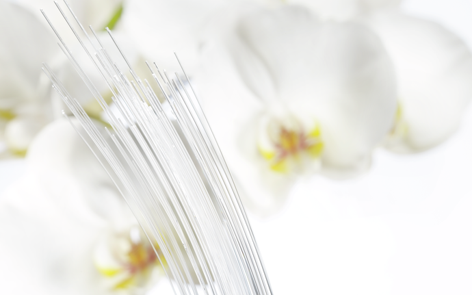 Bundle of eco-friendly PURAVIS® clear glass optical fibers with a background of white flowers