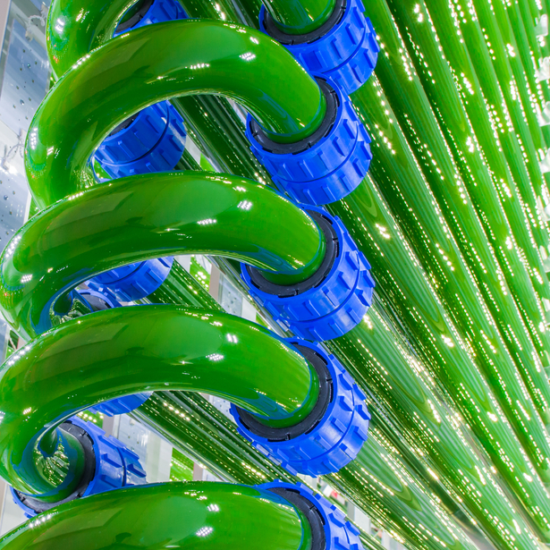 Tubular glass photobioreactor for algae cultivation with glass tubing from SCHOTT