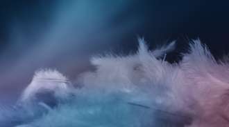 Soft feather imagery symbolizing lightweight SCHOTT GTAS® hermetic packaging with aluminum and titanium