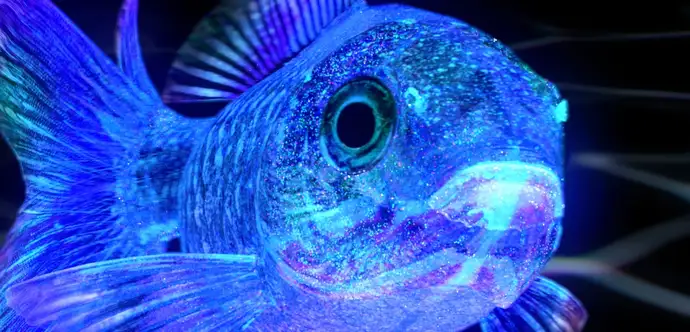 CERAN Luminoir® Illuminierter Fisch