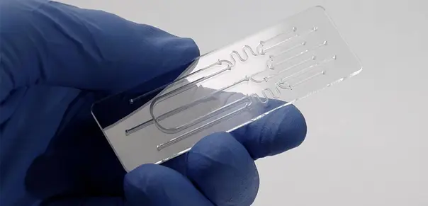  A microfluidic chip made by SCHOTT fitting into the palm of a researcher's hand
