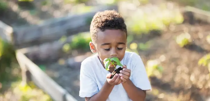  Little boy holding green leave at hand infront of garden.