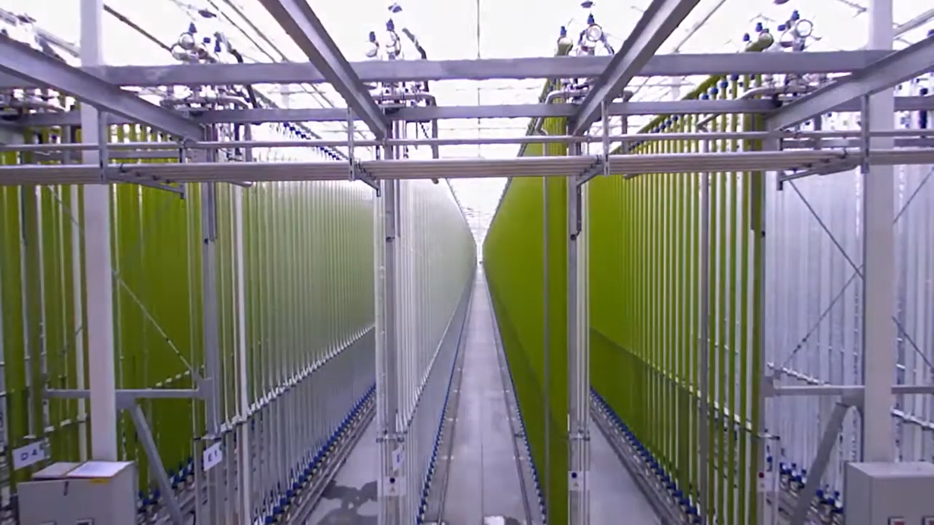 Vea un vídeo en timelapse sobre la construcción de la planta de cultivo de microalgas de Jongerius ecoduna