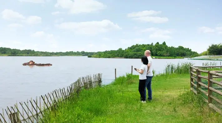 Jocelyn Jiang and Dr. Folker Steden stand on the shore of a lake and look at the hippos in water