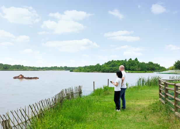 Jocelyn Jiang and Dr. Folker Steden stand on the shore of a lake and look at the hippos in water