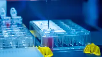 Schott_Minifab_Images_Pilot Line_4x5-66.jpg