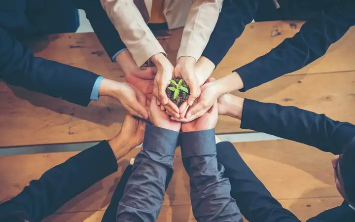  Different people holding a small plant in their hands.