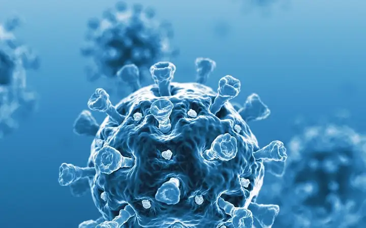 Microscopic image of the Covid-19 virus