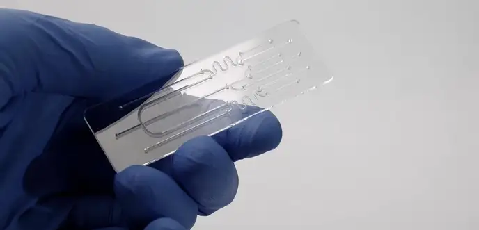 Hand holding microfluidic chip.