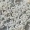 CoralPor® 매크로다공성