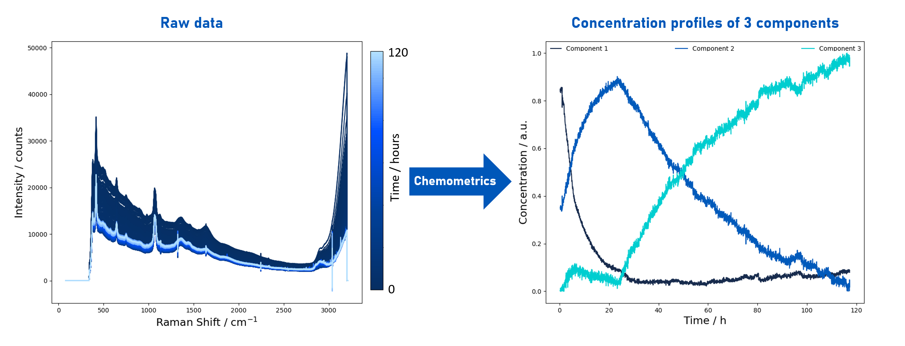 Graph showing the raw data from in-situ Raman monitoring using SCHOTT ViewPort™ for Bioprocessing on the left and Chemometric result of different component concentration from raw data of in-situ Raman monitoring using SCHOTT ViewPort™ on the right