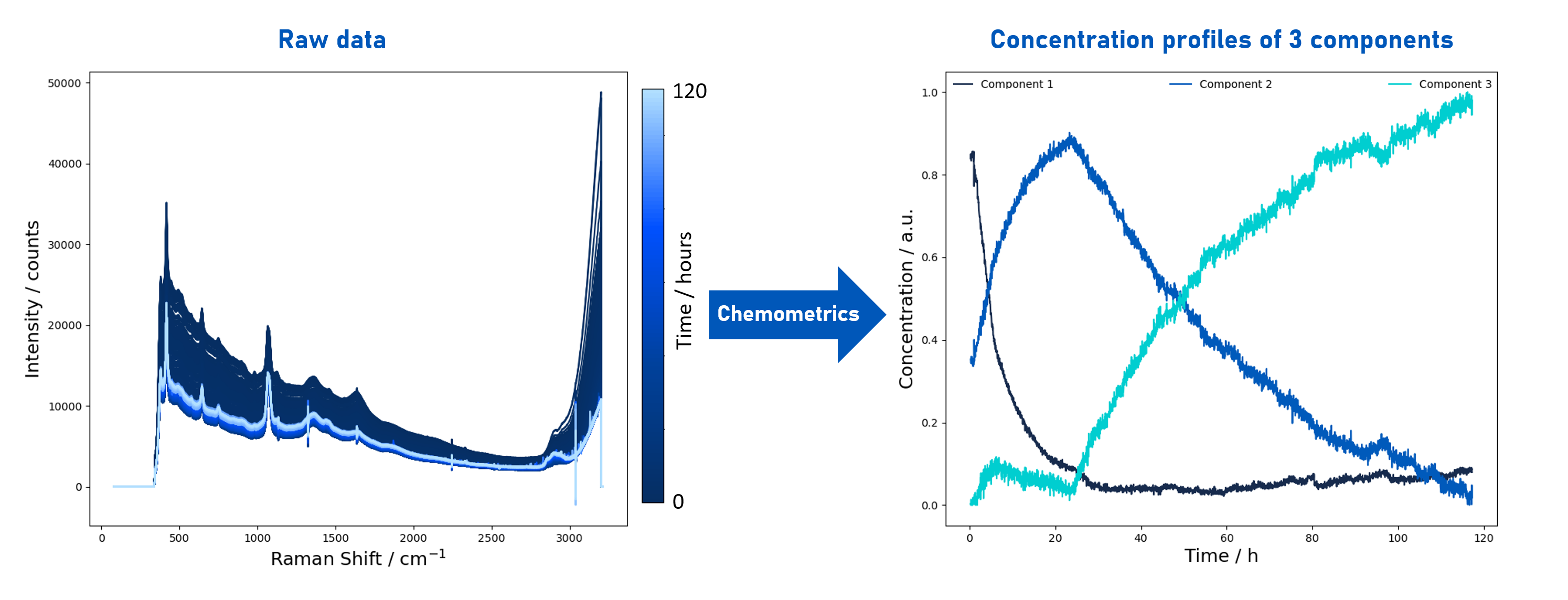 Gráfico mostrando os dados brutos do monitoramento Raman in-situ usando o SCHOTT ViewPort™ para bioprocessamento à esquerda e o resultado quimiométrico de diferentes concentrações de componentes a partir de dados brutos do monitoramento Raman in-situ usando o SCHOTT ViewPort™ à direita