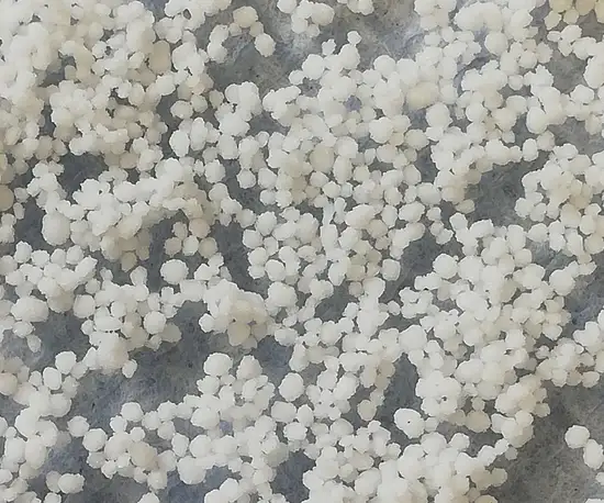 CoralPor® macroporeux