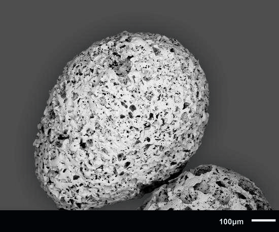 CoralPor® macroporoso